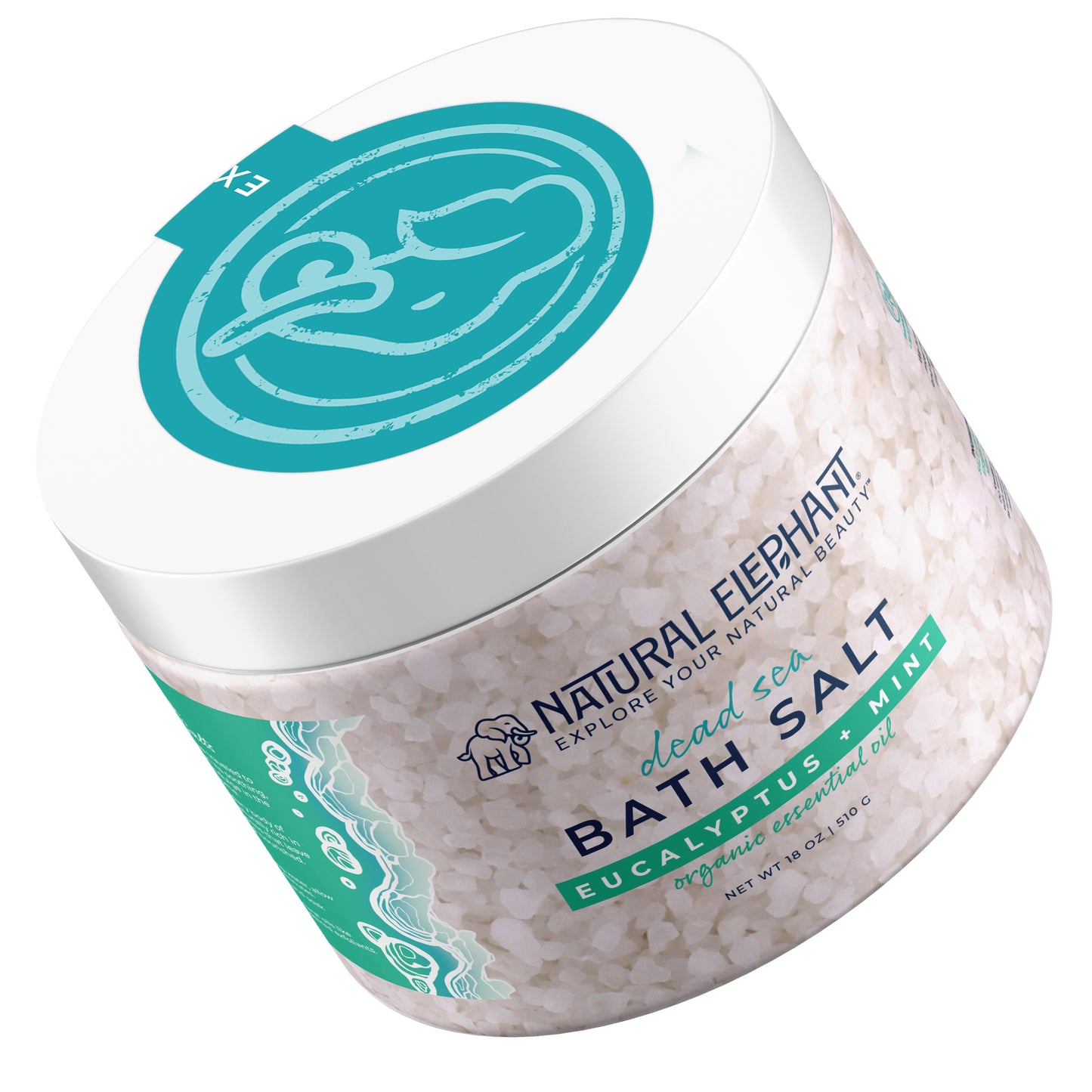 Eucalyptus Mint Dead Sea Salt