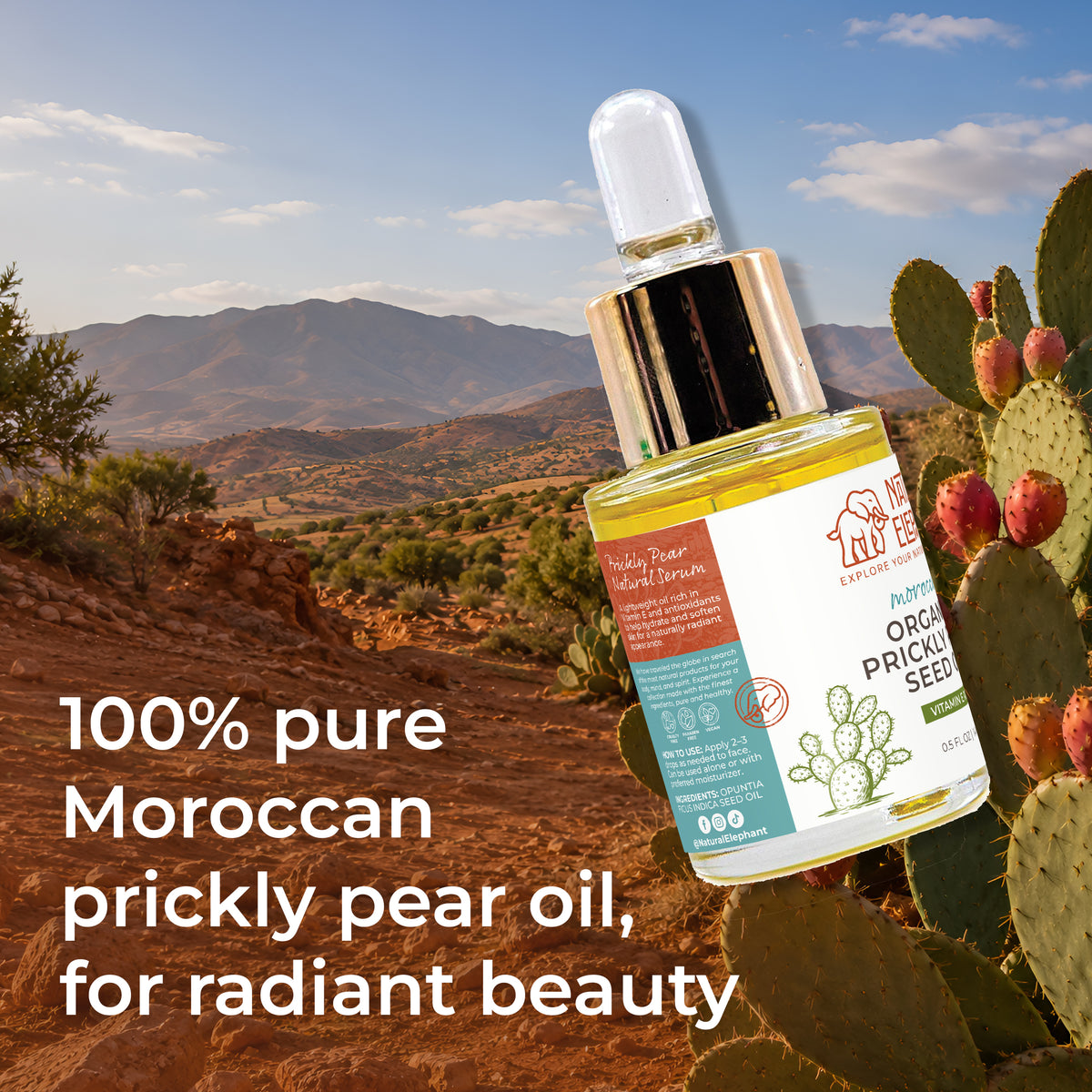 Organic Prickly Pear Seed Oil